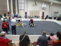 /album/ilpo/iski-283-jpg/